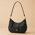 Coach Payton Hobo Bag — Black Signature Canvas